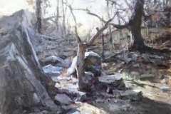 Brenno-Kenji-Winterscape-16x20